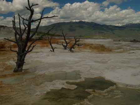Die Mammoth Hot Springs, hier mussten wir uns vom Yellowstone verabschieden, sniff sniff