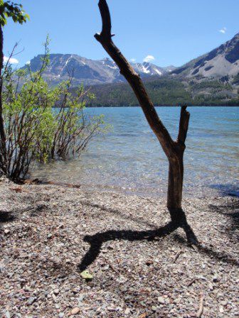 Und der Glacier National Park, Montana, hat uns dann auch mit strahlendem Sonnenschein empfangen