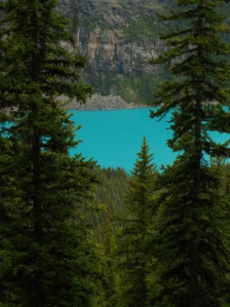 Der Moraine Lake ist sozusagen die Schwester von dem Lake Louise im Banff National Park in Kanada. Die Farbe ist fantastisch und man kann kaum glauben, dass dies echt ist