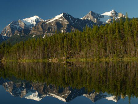 Dann machten wir uns auf in Richtung Jasper National Park, dem grossen Bruder von Banff. Der beruehmte Icefield Parkway ist wirklich sehr schoen zum Befahren. Dies ist der Hector Lake, spiegelte fantastisch im Morgenlicht