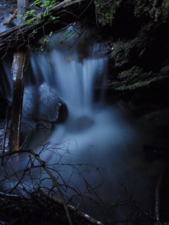 Silas - Foto