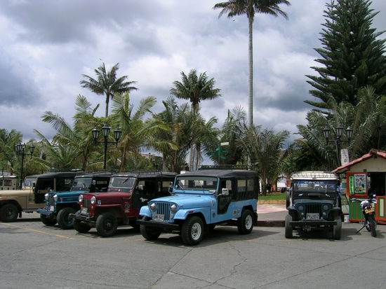 Yipaos auf der Plaza von Salento