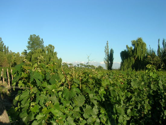 Die Anden im Hintergrund