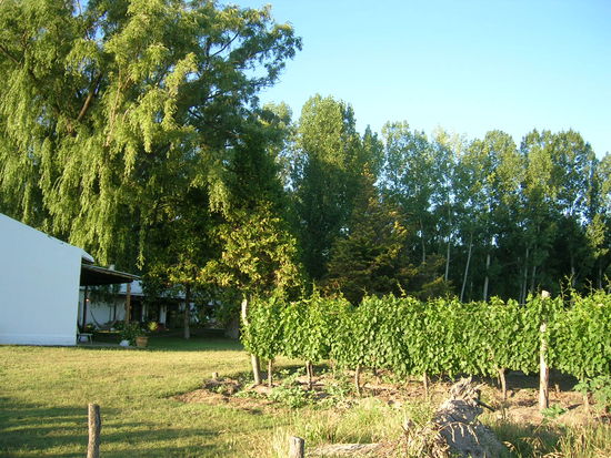 Die Zimmeranlage im Eco Lodge Postales del Plata