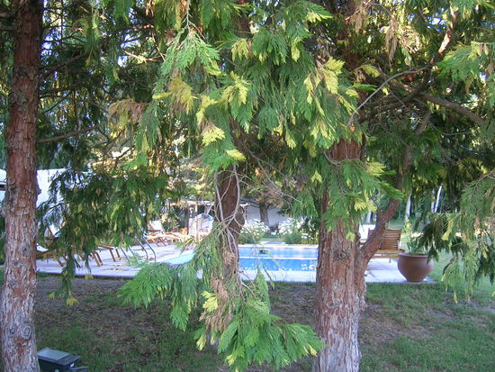 Eco Lodge Postales del Plata