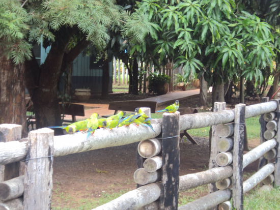 Im Lodge Fazenda Sao Francisco