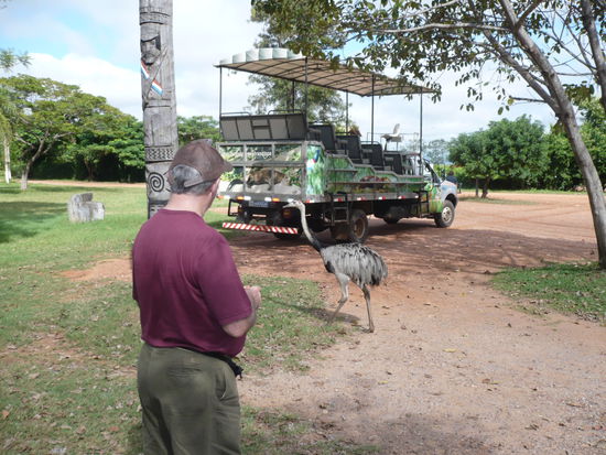 Der Emu.