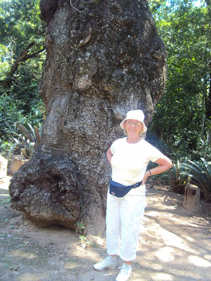 Botanisher Garten Yvaga Guazu