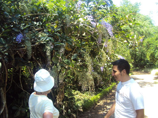 Unser Begleiter im Botanischen Garten