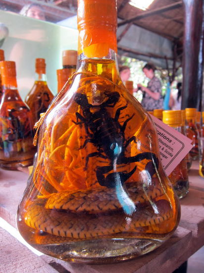 Snake Wine - Gar nicht mal so schlecht