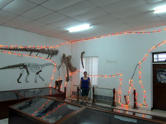 Im Dinomuseum - Wir hoffen sie finden die restlichen Knochen noch