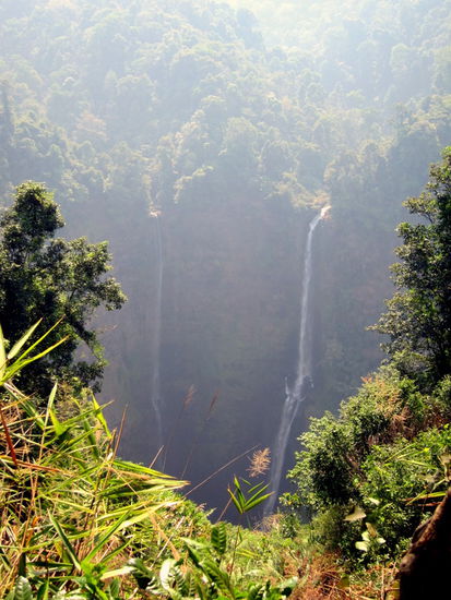 Tad Fane Zwillingsfälle