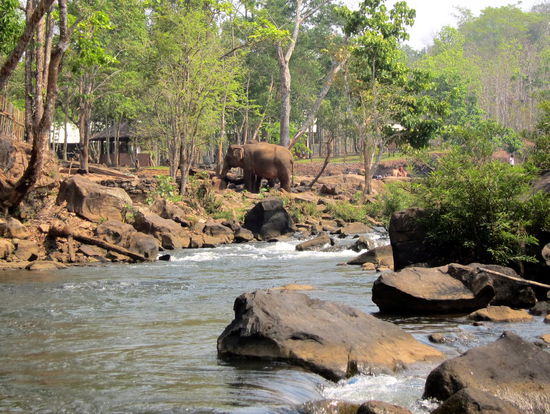 Wir hatten einen dickhäutigen Beobachter