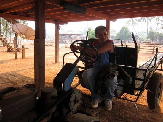 'Shot' - Unser Guide