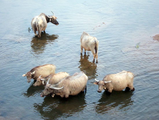 Was gibt's da zu schauen?