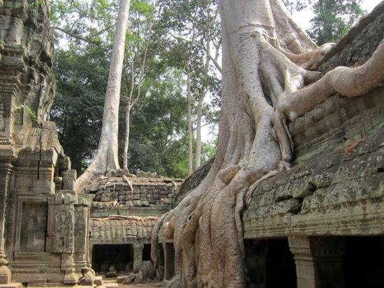 Ta Phrom