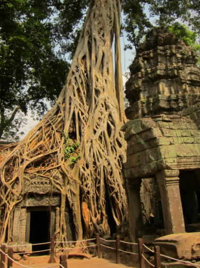 Ta Phrom