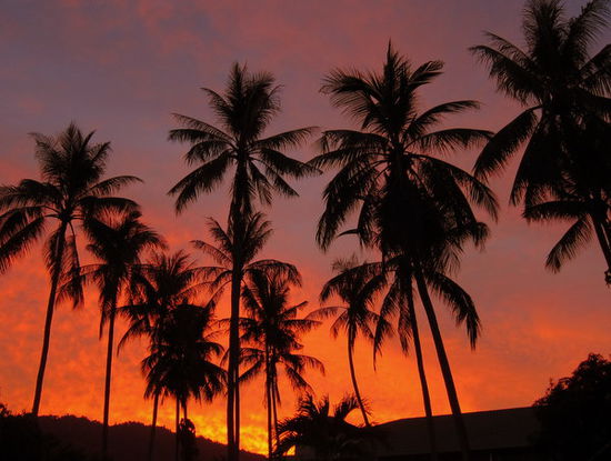 So muss ein Sonnenuntergang sein, einfach herrlich (kitschig)!!!