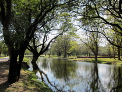 Impression aus Sukhothai