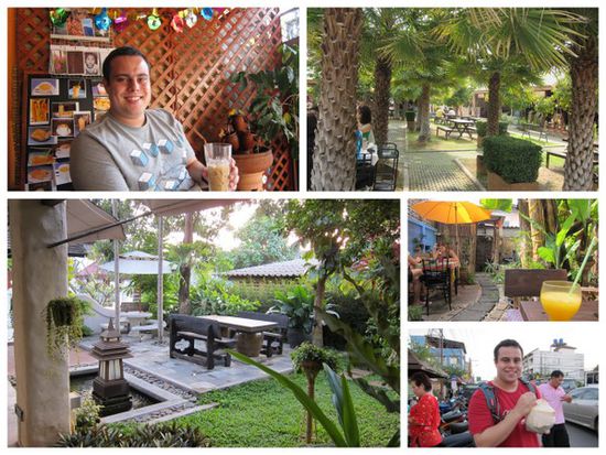 Chillin' in Chiang Mai
