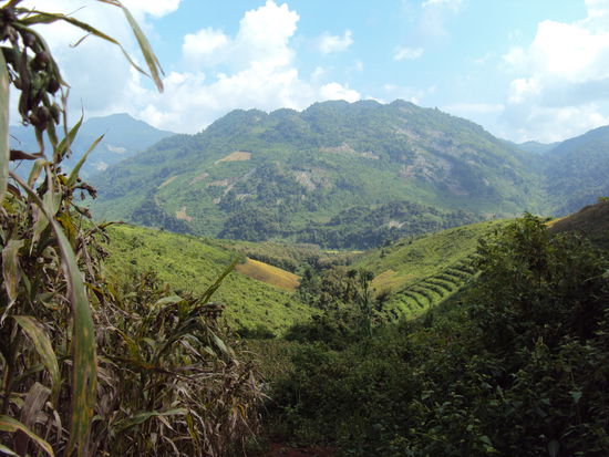 Von Luang Trabang aus unternahmen wir eine zweitaegige Trekkingtour bei der wir die unbeschreiblich schoene Landschaft von Laos fast fuer uns allein geniessen konnten.