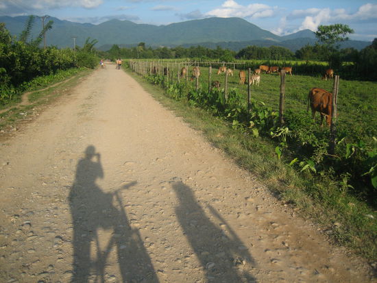 Fahrradtour zur Hoehle Tham Phu Kham
Fuehrte uns vorbei an kleinen Doerfchen, saftigen gruenen Wiesen mit grasenden Kuehen und immer wieder laechelnden und winkenden Laoten...
