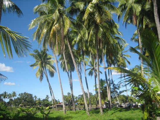 Da fuehlt man sich doch wie in der Karibik, oder?!