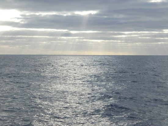 Ausblick an meinem Geburtstag beim ersten Kaffee frueh morgens.