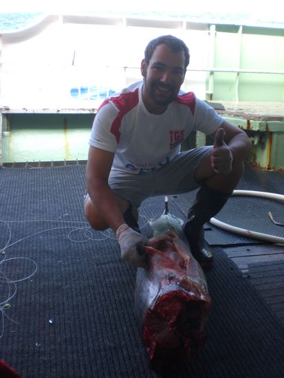 ...morgens halb 8 irgendwo auf dem Meer. ...und das ist eines der harmlosen bilder.