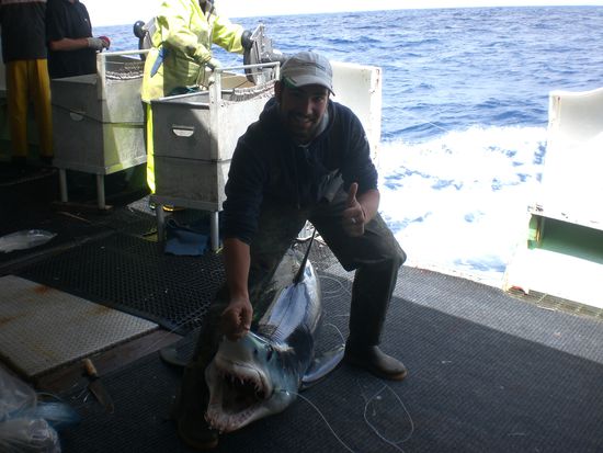 meine erste Begegnung mit einem Hai. *g*