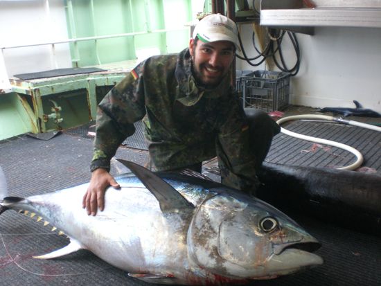 ...da weis man auch endlich mal das es Tunfisch auch in anderer Form gibt als nur aus der Dose. *g*