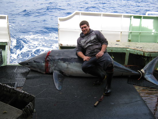 ...das war wohl einer der größten Haie die bisher auf dem Boot gefangen wurde.