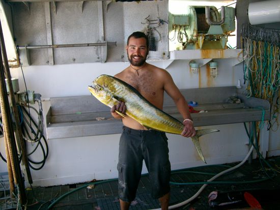 Der beste und leckerste Fisch: "Mahi Mahi" oder "Dolphin-Fish"