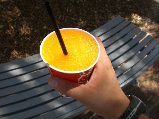 Die haben hier sogar überall "Sqwischies" ...zumindest heist es so bei den Simpsons. *g* ...ja ich habs probiert, wenn man zu schnell trinkt dann friert einem wirklich das Gehirn ein!