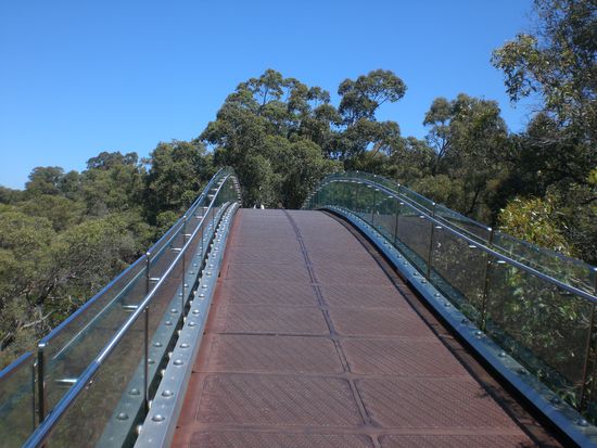 Der Skywalk im Kingspark.