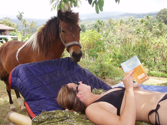 Lastminute - das bissige Pferd