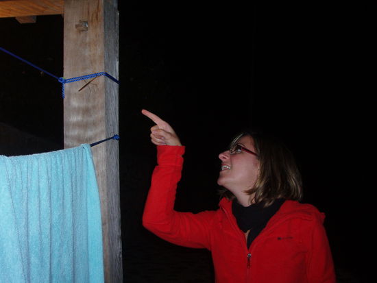 Christina sichtet eine Stabheuschrecke