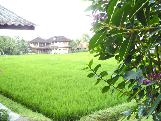 Blick von der Terrasse unseres Bungalows