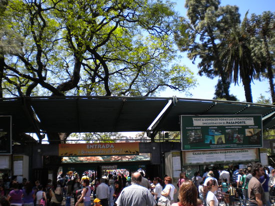 Eingang vom Zoo man musste bis zu einer Stunde anstehen.
Nichts für uns