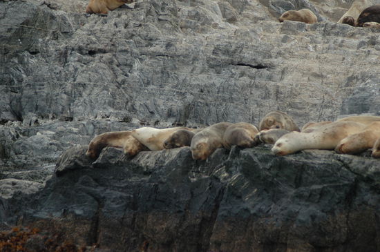 Hey Hey ihr Pentüten