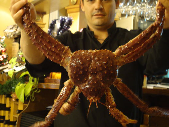 Riesen teil wir waren uns nicht mehr so sicher