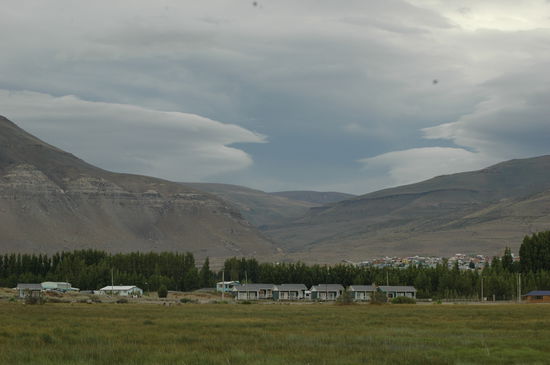 El Calafate hinter den Bäumen geschützt vom Wind