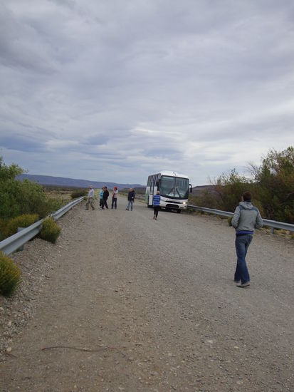 Pause dort wo es grössere Büsche hatte