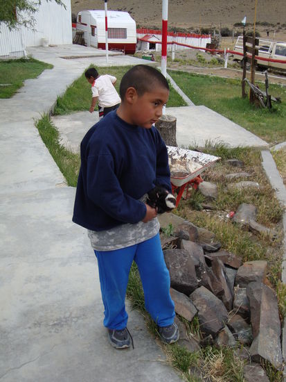 Der Junge hat uns stolz sein junges Stinktier gezeigt,die stinken erst wenn sie grösser sind.Gott sei dank