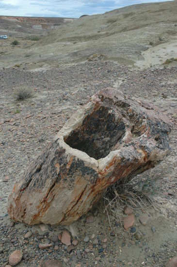 Man glaubt es fast nich ist aber Stein