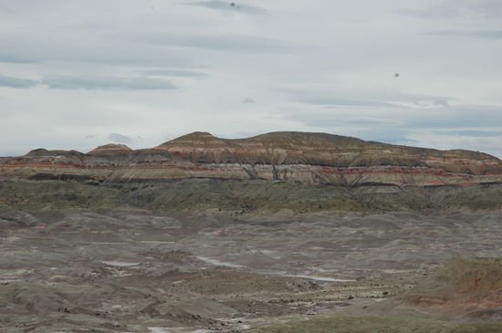 Die Farben kommen auf dem Bild leider gar nicht so zur Geltung