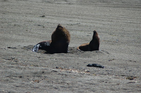 Hurni geniesst die Sonne.