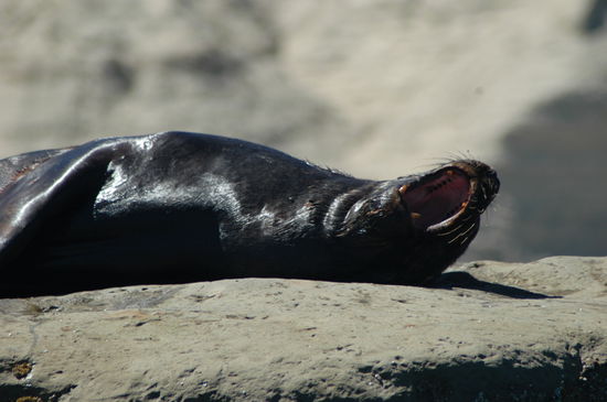 Gähnnnnnnnnnnnnnnnnnnnnnnnnnnnnnnnnnn