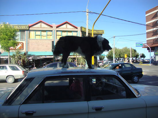 Das Highlight des Tages der war wirklich so unterwegs