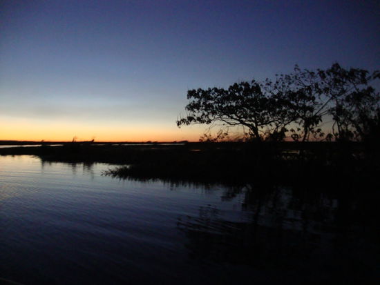 Am ersten Abend gings gleich los mit einer Nachtbootstour.Wir suchten Krokis mit einer Taschenlampe und schon bald sagte einer Hallo.Doch die schlimmsten Viehcher waren die Muecken.